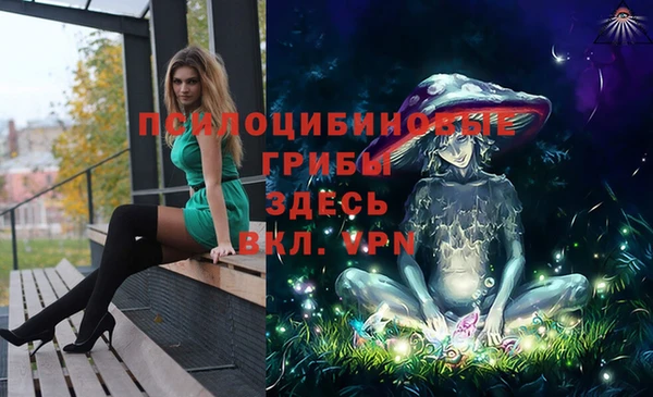 COCAINE Медвежьегорск