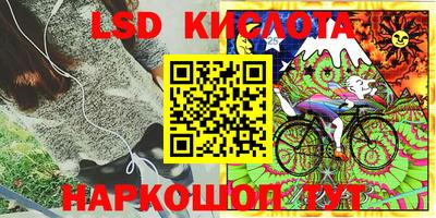 прущие крисы Гатчина