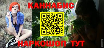 прущие крисы Гатчина
