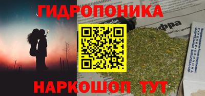ешки Гай