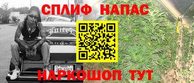 ешки Гай
