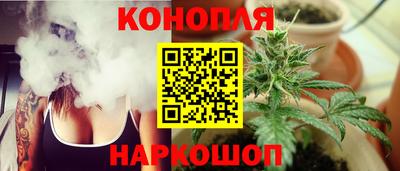 прущие крисы Гатчина