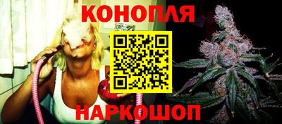 стаф Берёзовский