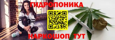 ешки Гай