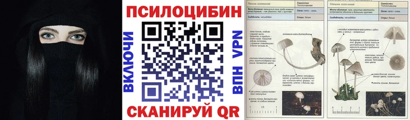 MEGA онион  сколько стоит  Ступино  Галлюциногенные грибы Psilocybe 