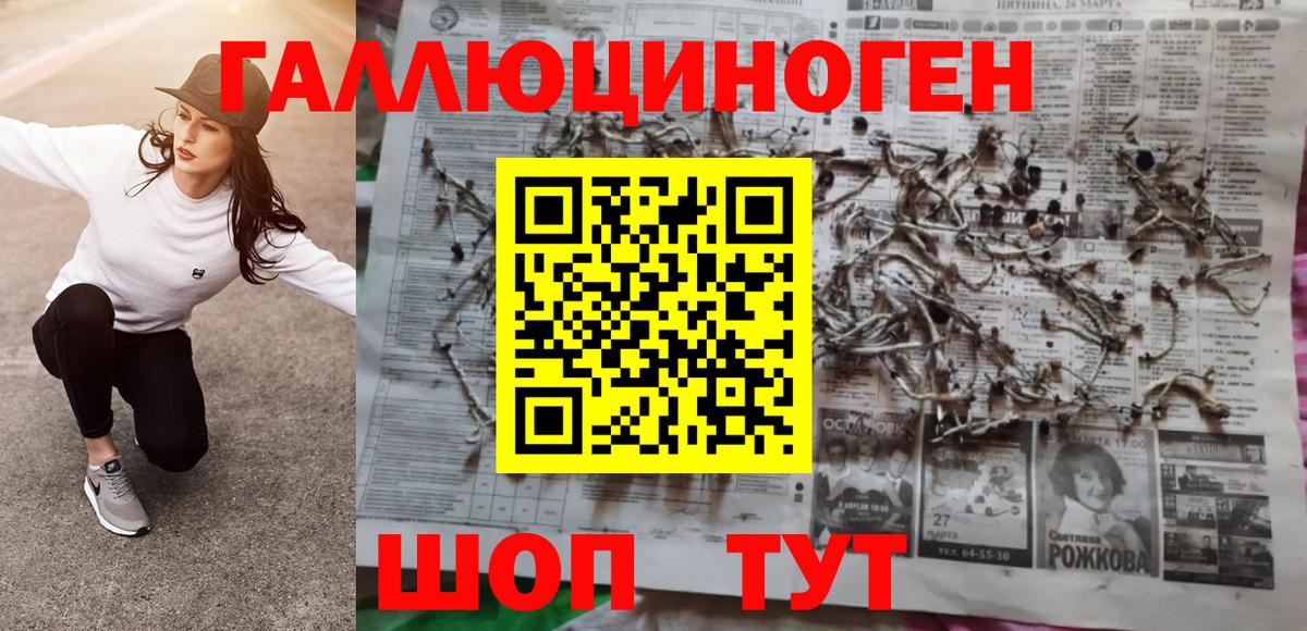 Галлюциногенные грибы мицелий  Ступино  Псилоцибиновые грибы Magic Shrooms 