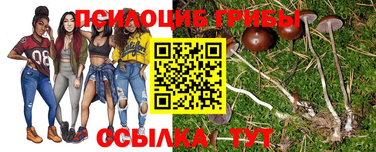 Псилоцибиновые грибы ЛСД Ступино