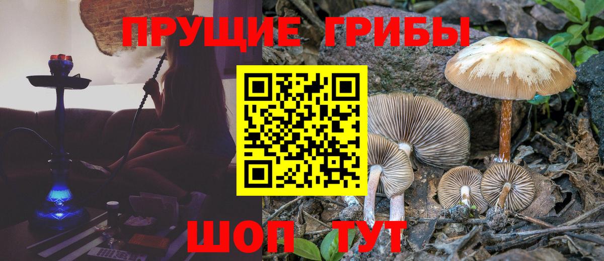 Ступино  Галлюциногенные грибы Psilocybe  Галлюциногенные грибы мухоморы  Вход с VPN 